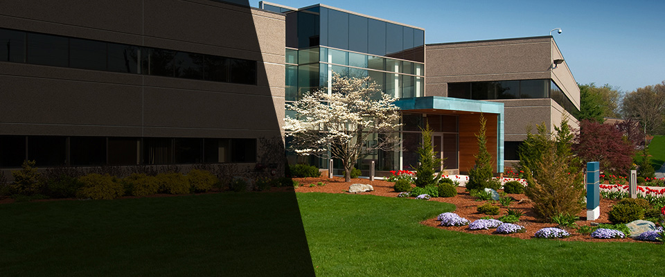 Manton Landscapers
