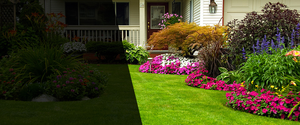 Manton Landscapers