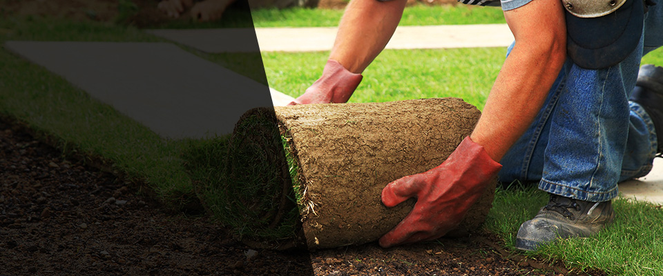 Manton Landscapers